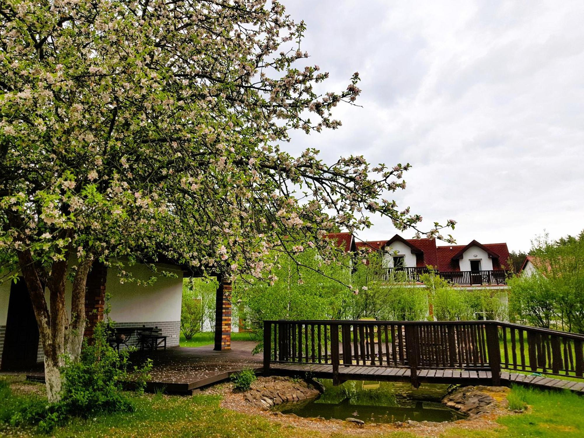 Osrodek Nad Jeziorem - Radew Rosnowo Экстерьер фото